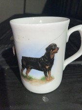 Rottweiler Vintage Coffe Mug Bone China Excellent Condition