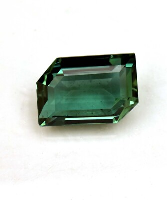 Natural Mozambique Green Tourmaline 15.65 Ct Fancy Cut Loose Gemstone TREATED