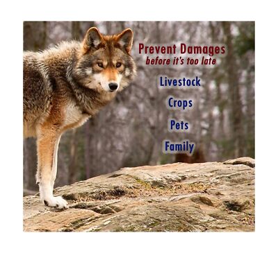 Predator Pee 100% Wolf Urine Marking - Creat Territorial Easy-to-use Scent