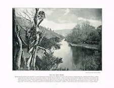 Dinish Island Old Weir Bridge Killarney Ireland Antique Print c1896 PI#272