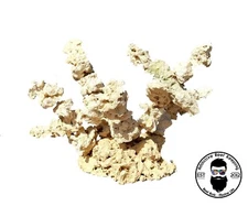 ARK Island Branch Rock Kit Dry Reef Rock Aragonite Base, Porous Aquariums Live