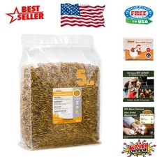 100 Natural Dried Black Soldier Fly Larvae - Ideal Snack for Birds  Reptiles