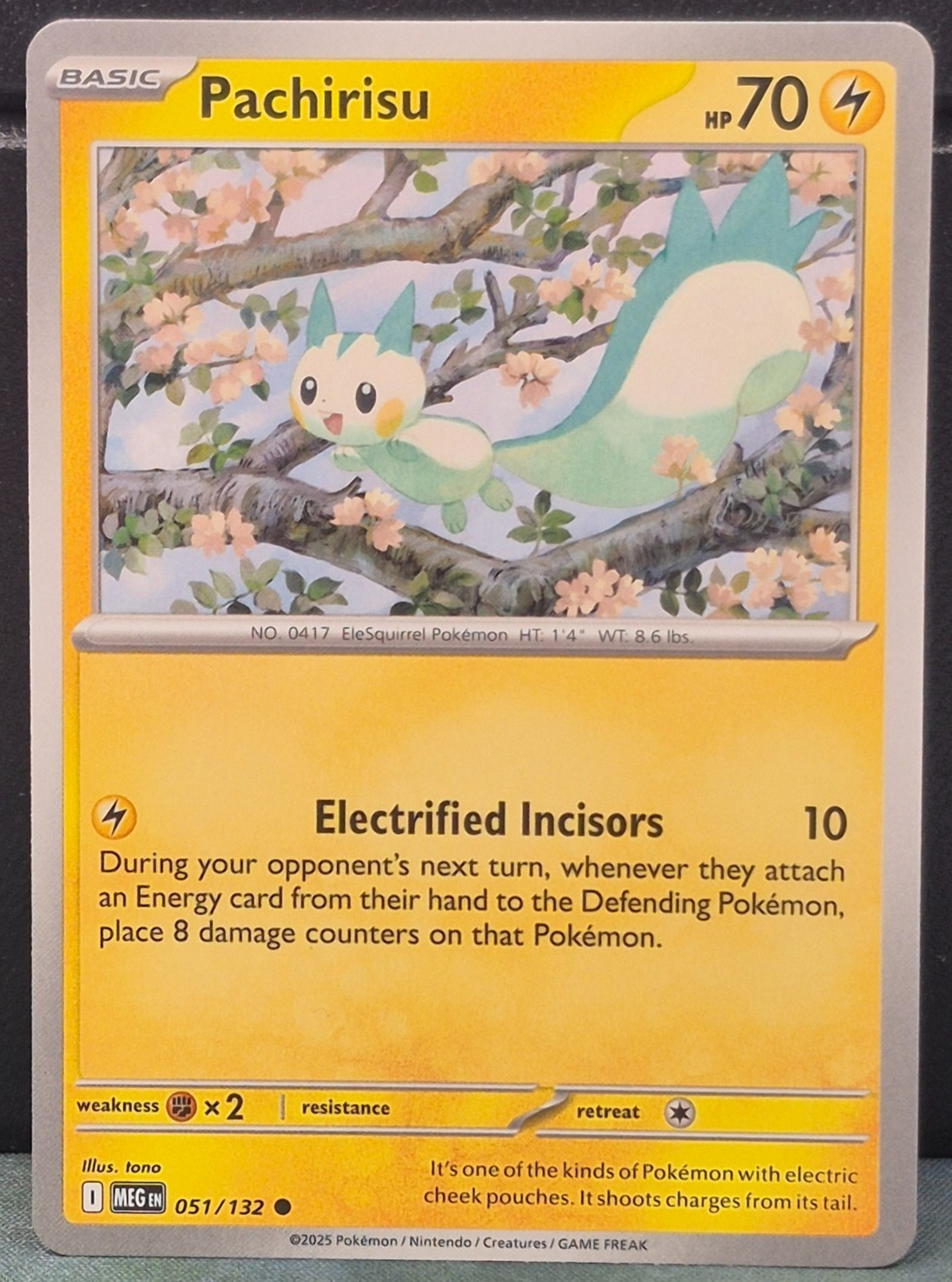 Pachirisu 051/132 Mega Evolution Pokemon TCG Near Mint Card Game Lightning MEG