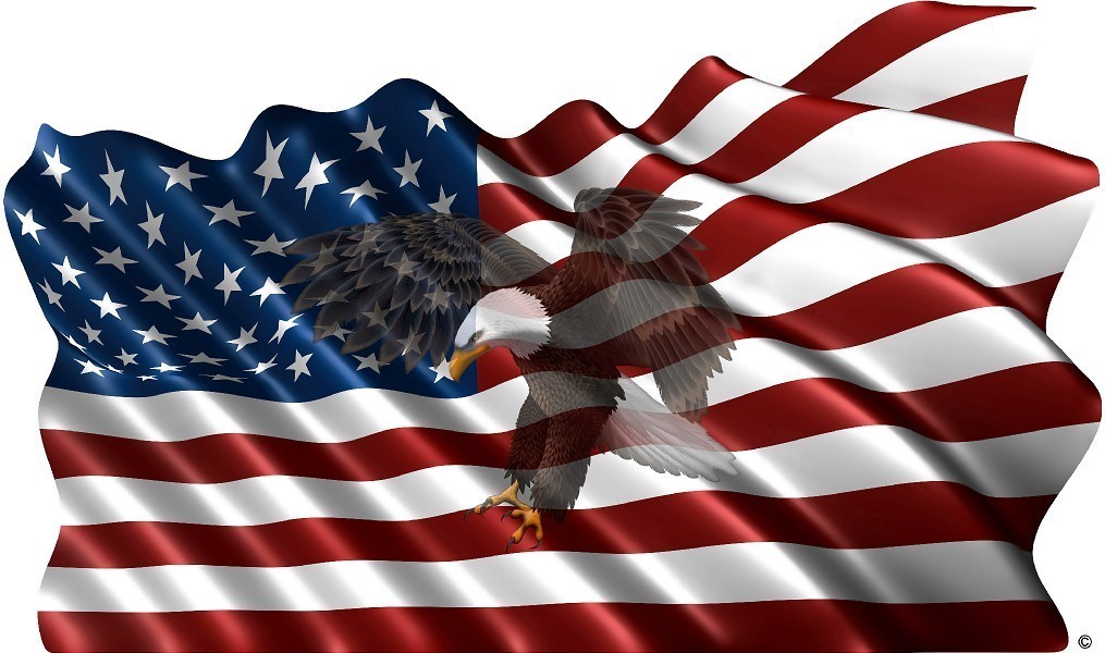 48X80 American Flag Eagle #3 Window RV Trailer Decal Decals Graphics Wall Art