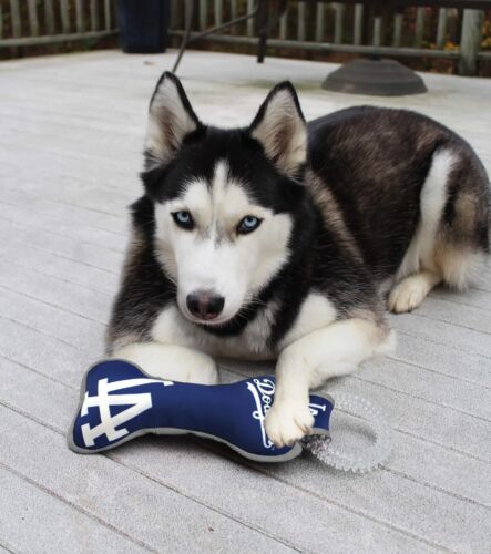 Primo giocattolo a forma di osso MLB con cigolio per cani e gatti - Foto 22 di 62