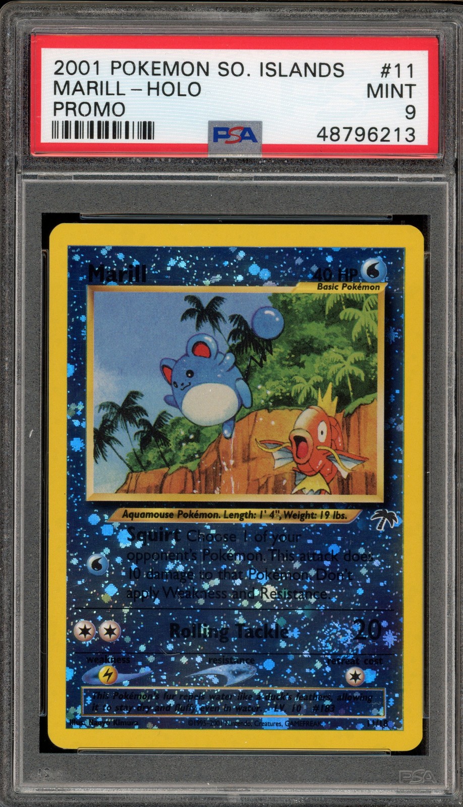 Pokemon Marill Southern Islands Holo Promo #11 PSA 9 Mint