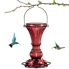 Glass Hummingbird Feeders for Outdoors Hanging Red Nectar with Perch 20 Ounces