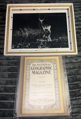 August 1921 National Geographic + Original George Shiras HARK! Photo Framed
