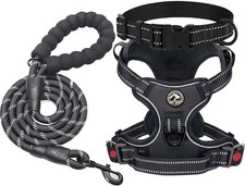 No-Pull Dog Harness with Dual Leash Clips, Adjustable Fit, Reflective