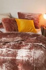 Bild 2 von 4