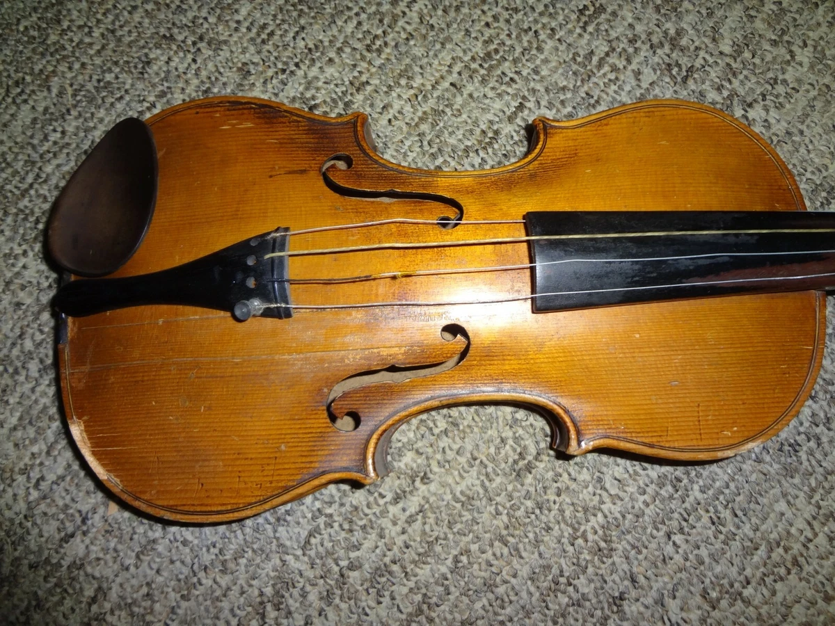 Jacobus 2024 stainer violin