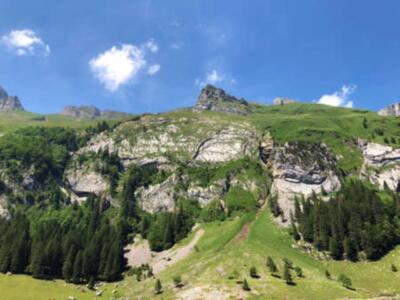 Wandbild: Alpine Peak Schäfler (Schafler oder Schaefler) im Gebirgszug [...]