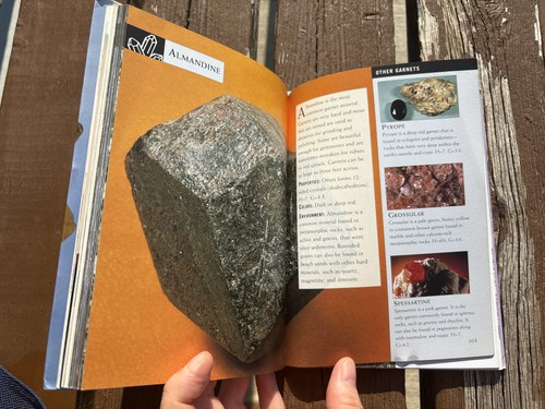 National Audubon Society First Field Guide Rocks and Minerals, Geology - Picture 6 of 10