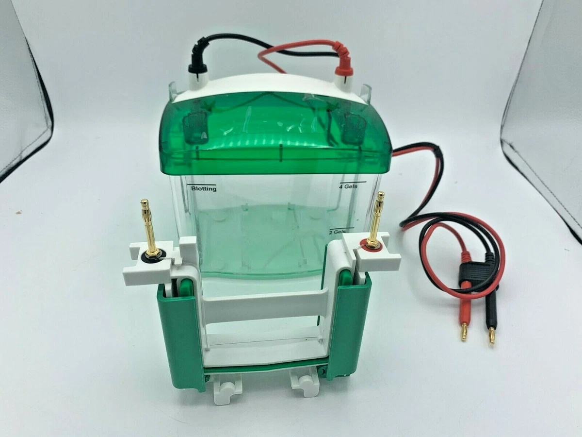Camera di elettroforesi verticale - Tutti i produttori di materiale medicale Camera di elettroforesi verticale - Tutti i produttori di materiale medicale