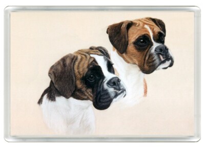 BOXERHUNDE KOPF STUDIE HUND KUNSTDRUCK NEUHEIT KÜHLSCHRANKMAGNET TOLLES GESCHENK