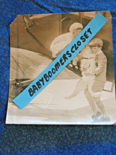 Picture of Airplane Travel With Your Dog | VCA Animal Hospitals