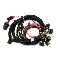 558-414 Terminator Main Harness 558-414 Terminator Main Harness