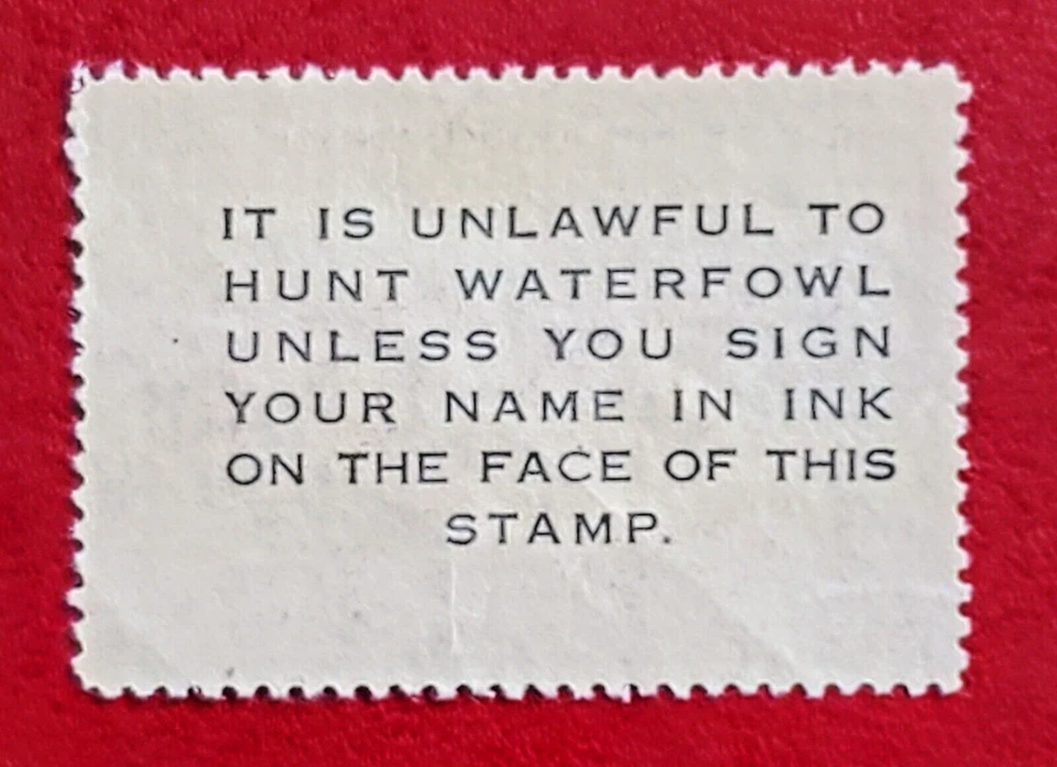 US 1953 FEDERAL DUCK STAMP #RW20 MIGRATORY BIRD HUNTING STAMP MLH OG F/VF - Image 2 of 4