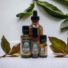 100% Pure Bay Laurel (Laurel Leaf)  Essential Oil - Free Shipping