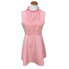 ZARA Pink Ruffle Neck Lace Sleeveless A-Line Dress Women’s Sz Large NWT