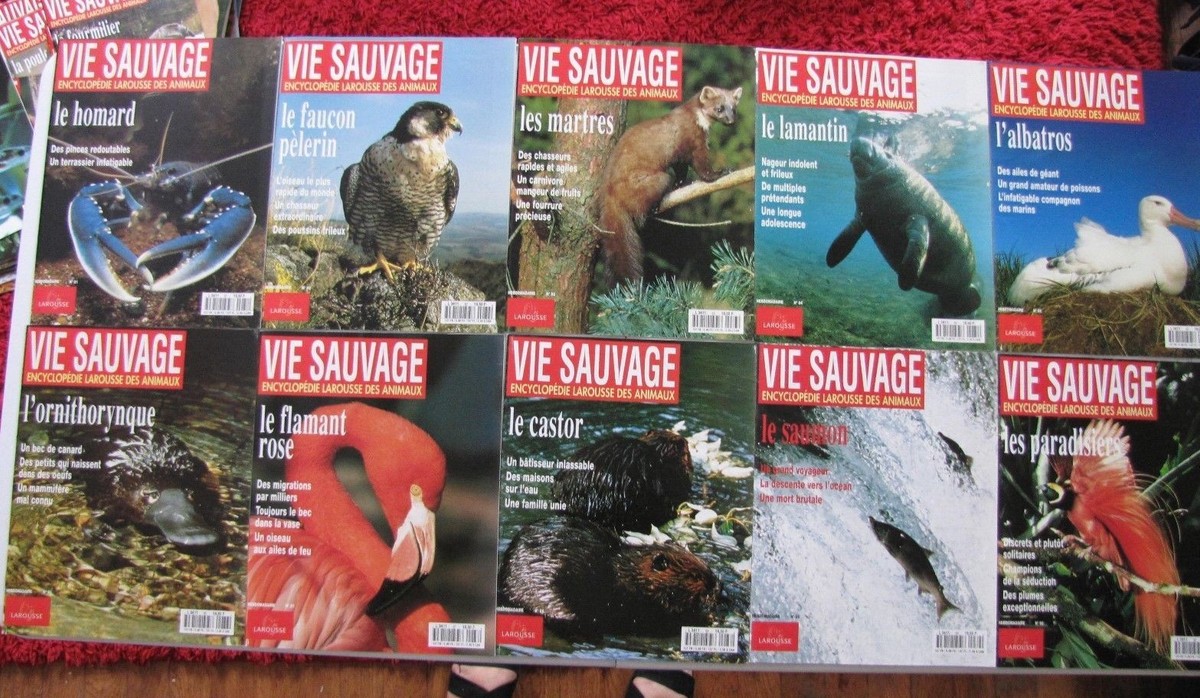 Livre La Chasse (Larousse 1954) En Très Bon état