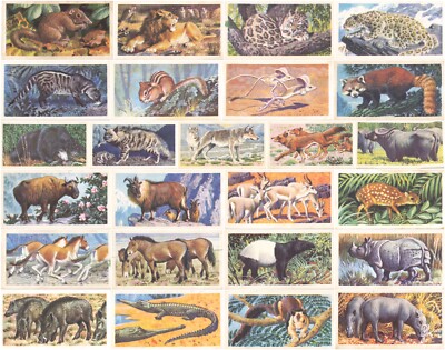 Asian Wildlife Cards - Brooke Bond Tea Collection, A Series of 50