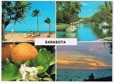 Postcard Tropical Sarasota Florida