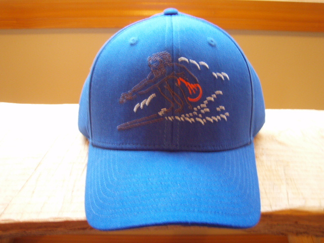 patagonia geologers roger that hat