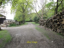 Photo 12x8 Track to Howen's Farm Fritham Past a barn and supply of firewoo c2010