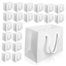 20 Pack 4.7 x 2.4 x 4 Inches Extra Small Gift Bags, Mini Gift Wrap Paper Bags 