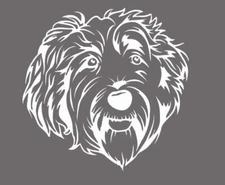 Labradoodle - White Vinyl Graphic Decal Car Truck Windows Laptop Notebook