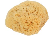 Bass Brushes Large Natural Bath Sponge Shower, 1 1 Count Pack of 1 , Yellow