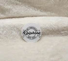 Epiphone Guitars Sticker 150th Anniversary
