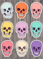 Colorful Skulls Die Cut Vinyl Stickers Set Scrapbooking Laptop Waterbottle