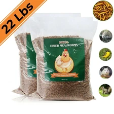 22 LBS Bulk Dried Mealworms for Wild Birds Food Blue Bird Chickens Fish Treats