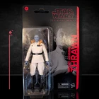 Masters of Evil - Grand Admiral Thrawn Star Wars The Black Series Action Figure