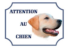 Plaque Alu 15x20cm "Attention au chien" Labrador sable
