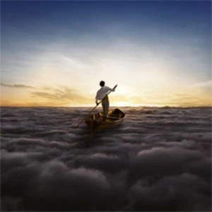 Pink Floyd Endless River | eBay