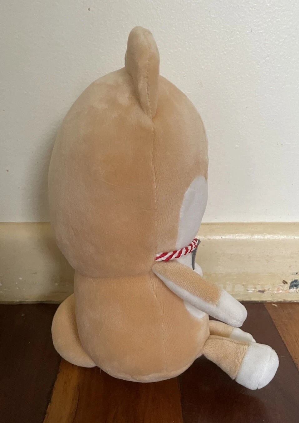 Picture 5 of 11