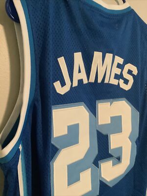 lebron nipsey jersey