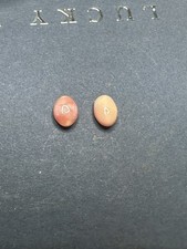 A Pair Pink Conch Pearls Naturals .48 Ct Each
