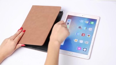 Schutz Hülle für iPad 10/9/8/7/6/5th Gen Air 5/4/3/2 Pro Leder Etui Tasche Cover