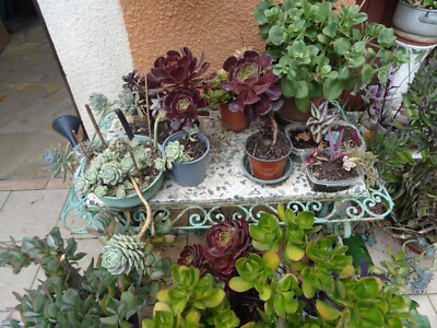Où acheter une broche en tissu - The French Jewelry Post by Sandrine Merle