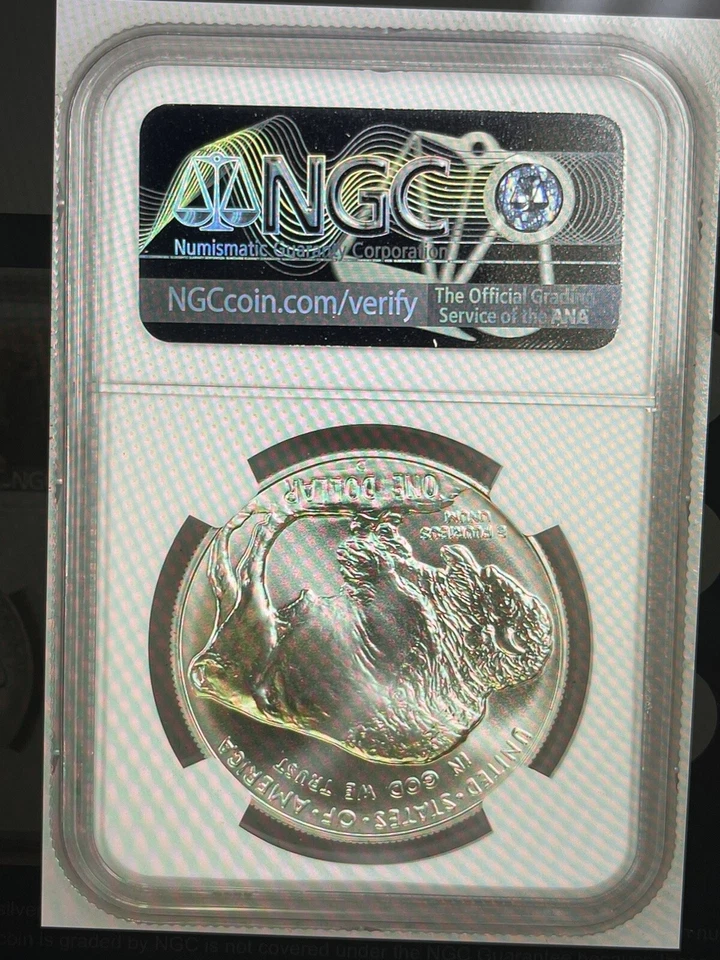 2001 D Buffalo Coin & Currency Set MS 69 Buffalo Label Coin Only with toning - Image 2 of 2