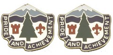 380th REPL BATTALION Distinctive Unit Insignia - Pair