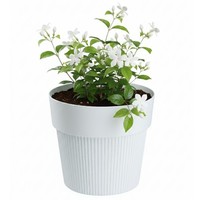 Howhomely Blumentopf ÜBertopf Pflanzgefäß Pflanztopf Weiß H13Xb15Cm Geriffelt