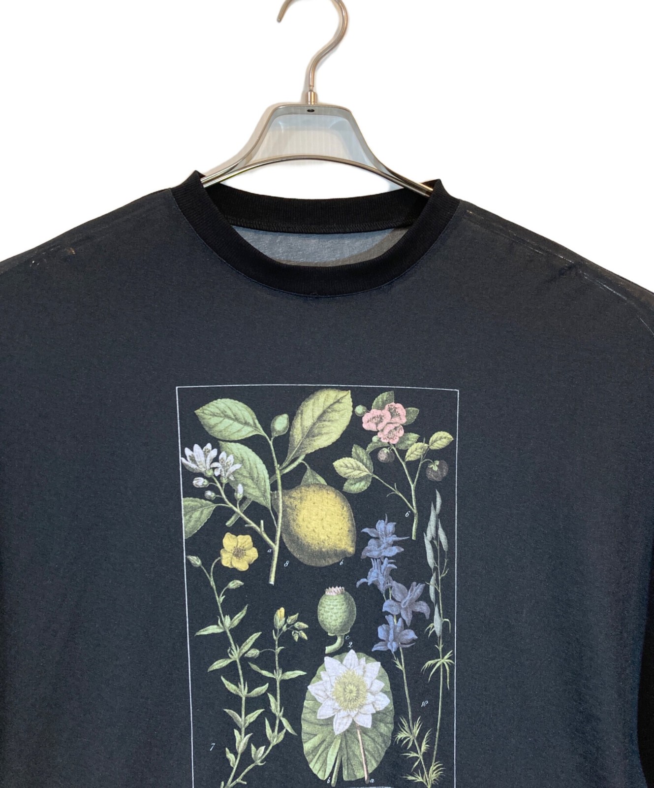 Ameri BOTANICAL SHEER LONG TEE SIZE Free black Ex… - image 3