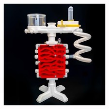 Ant Farm Castle 3D Printed Ant Farms Habitat Ant Colony for Kids, Adults, Stu...