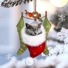 Christmas Gray Cat Santa Hat Acrylic Ornament 2D