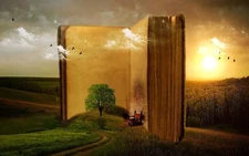 oil painting handpainted on canvas "a large book,tree,birds,landscape"@NO2525